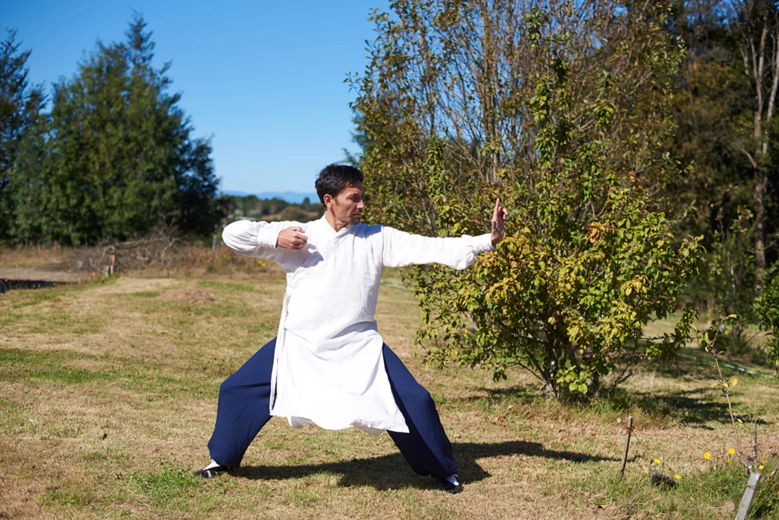 Yuelong practicando Wuhujin QiGong